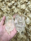 鱼胶月子吃孩子会过敏么(吃鱼胶的禁忌)